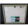 Image 4 : Framed Celebrity Photo of Anna Faris 'House Bunny' w/ Authentic Signing & COA