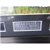Image 3 : Framed Animated Photo Signed Brad Kesten 'Charlie Brown' w/ Authentic Signing & COA