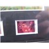 Image 4 : Framed Animated Photo Signed Brad Kesten 'Charlie Brown' w/ Authentic Signing & COA