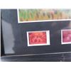 Image 7 : Framed Animated Photo Signed Brad Kesten 'Charlie Brown' w/ Authentic Signing & COA