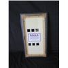 Image 11 : Framed 'True Blood" Special Edition Film Cell w/ COA