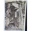 Image 2 : Postcard Size Sepia Photo of Will James (1892-1942) w/ Letter of Authenticity