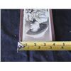 Image 11 : Framed Postcard Size Sepia Photo of G.M. Lillie 'Pawnee Bill' w/ Letter of Authenticity