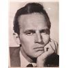 Image 5 : Vintage Signed Photograph of Charlton Heston - Diamond Head, Culver Pictures Reproduction