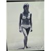 Image 3 : Qty 10 Celebrity Photos: Susannah York, Joyce DeWitt & Others, Some Signed