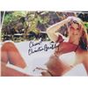 Image 9 : Qty 10 Celebrity Photos: Jayma Mays, Christie Brinkley & Others, Some Signed