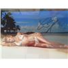Image 6 : Qty 10 Celebrity Photos: Cheryl Tiegs, Melissa Jo Hunter & Others, Some Signed