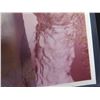 Image 12 : Qty 10 Celebrity Photos: Loni Anderson, Jill Ireland & Others, Some Signed