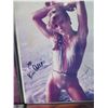 Image 2 : Qty 10 Celebrity Photos: Daryl Hannah, Loretta Swit & Others, Some Signed