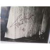Image 3 : Framed Signed Photograph of Fred Astaire 11"x19"