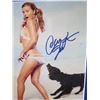 Image 2 : Framed Signed Photograph of Carmen Electra w/ COA 12"x18"