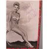 Image 2 : Framed Signed Photograph of Kim Novak 15"x15"