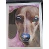 Image 2 : Qty 3 Unframed Dog Print w/ Letter from David J. Rogers & COA 9" x 11"
