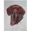 Image 3 : Qty 3 Unframed Dog Print w/ Letter from David J. Rogers & COA 9" x 11"