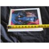 Image 9 : Qty 3 Unframed Dog Print w/ Letter from David J. Rogers & COA 9" x 11"