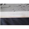 Image 3 : Qty 4 Vintage Prints: Vanquishers of Salamis, Geese of the Capitol, Shrine of Venus, Pilgrims in Sig