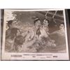 Image 8 : Qty  9 Black & White Photos: Enola Gay, 'Orca', Military Plane 305 & Others Some Signed