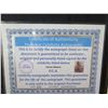 Image 11 : Qty 5 Celebrity Photos: Jenna Elfman, Charlotte Church & Others, Some Signed