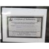 Image 9 : Qty 5 Celebrity Photos: Anna Faris, Lauren Conrad & Others, Some Signed w/ COA