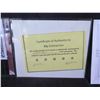 Image 10 : Qty 5 Celebrity Photos: Jenna Elfman, Nicole Eggert & Others, Some Signed w/ COA