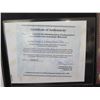 Image 13 : Qty 5 Celebrity Photos: Milla Jovovich, Genevieve Bujold & Others, Some Signed w/ COA