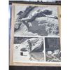 Image 16 : Qty 17 Celebrity Photos: Susannah York, 'Oh What a Lovely War" & Others, Some Signed
