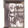 Image 6 : Qty 17 Celebrity Photos: Susannah York, 'Oh What a Lovely War" & Others, Some Signed