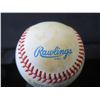 Image 4 : Autographed American League Baseball Signed Vanna White (Stand Not Included)