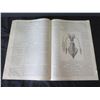 Image 13 : Qty 2 Pages: Illustrated Sporting & Dramatic News 1892 & Scientific American 1879
