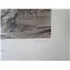 Image 13 : Qty 4 Black & White Art: Port D'Ostie Plans, Antikes Stiergefecht, Floral Festival, etc