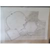 Image 2 : Qty 4 Black & White Art: Port D'Ostie Plans, Antikes Stiergefecht, Floral Festival, etc