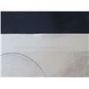 Image 3 : Qty 4 Black & White Art: Port D'Ostie Plans, Antikes Stiergefecht, Floral Festival, etc