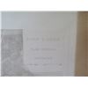 Image 4 : Qty 4 Black & White Art: Port D'Ostie Plans, Antikes Stiergefecht, Floral Festival, etc