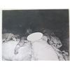 Image 2 : Black & White Nude Female in Bed, Signed & Stamped, Copyrighted 1894, 11"x15"