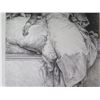 Image 3 : Black & White Nude Female in Bed, Signed & Stamped, Copyrighted 1894, 11"x15"