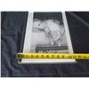 Image 8 : Black & White Nude Female in Bed, Signed & Stamped, Copyrighted 1894, 11"x15"