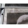 Image 11 : Qty 5 Celebrity Photos: Joel Higgins, Joey Heatherton & Others, Some Signed