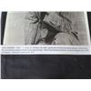 Image 4 : Qty 3 Celebrity Photos: Robert Alda, Robert Mitchum & Jean Hersholt, Some Signed