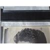 Image 4 : Qty 6 Celebrity Photos: Farley Granger, Joan Leslie, Bruce Dern & Others, Some Signed
