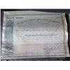 Image 4 : Qty 5 Stock Certificates: White Star Line, Cunard, Federal Telegraph Co, etc