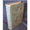 Image 1 : Antique Book: Life of Sitting Bull & History of the Indian War of 1890-91 by W. Fletcher Johnson