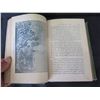 Image 8 : Antique Book: Life of Sitting Bull & History of the Indian War of 1890-91 by W. Fletcher Johnson