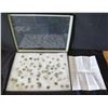 Image 1 : Multiple 'Raw' or 'Uncleaned' Ancient Bronze Coins w/ Instructions in Display Case 16"L
