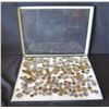 Image 1 : Multiple Coins: Leo 1/2/5, Deutschemark, 10 Pfenning, SVF Rice, Centavo, etc in Display Case 16"L
