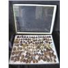 Image 1 : Multiple Medals & Pendants: Buddha, Elephants, Temples & Asian Theme, etc in Display Case 16"L