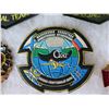 Image 10 : Multiple Medals & Patches: Ocboa, Diving Pins, Special Team, etc in Display Case 16"L