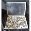 Image 1 : Multiple Coins:  Piso, Jamaica, Country Boy, Bank Indonesia, Singapore, etc in Display Case 16"L