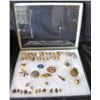 Image 1 : Multiple Medals, Pendants & Figures: Buddha, Dragonfly, Turtle, etc in Display Case 16"L