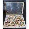 Image 1 : Multiple Pins & Medals: Characters, Animals, Foods, Cars, etc in Display Case 16"L