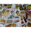 Image 8 : Multiple Pins & Medals: Characters, Animals, Foods, Cars, etc in Display Case 16"L